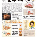 肥後もっこす鶏B5チラシ